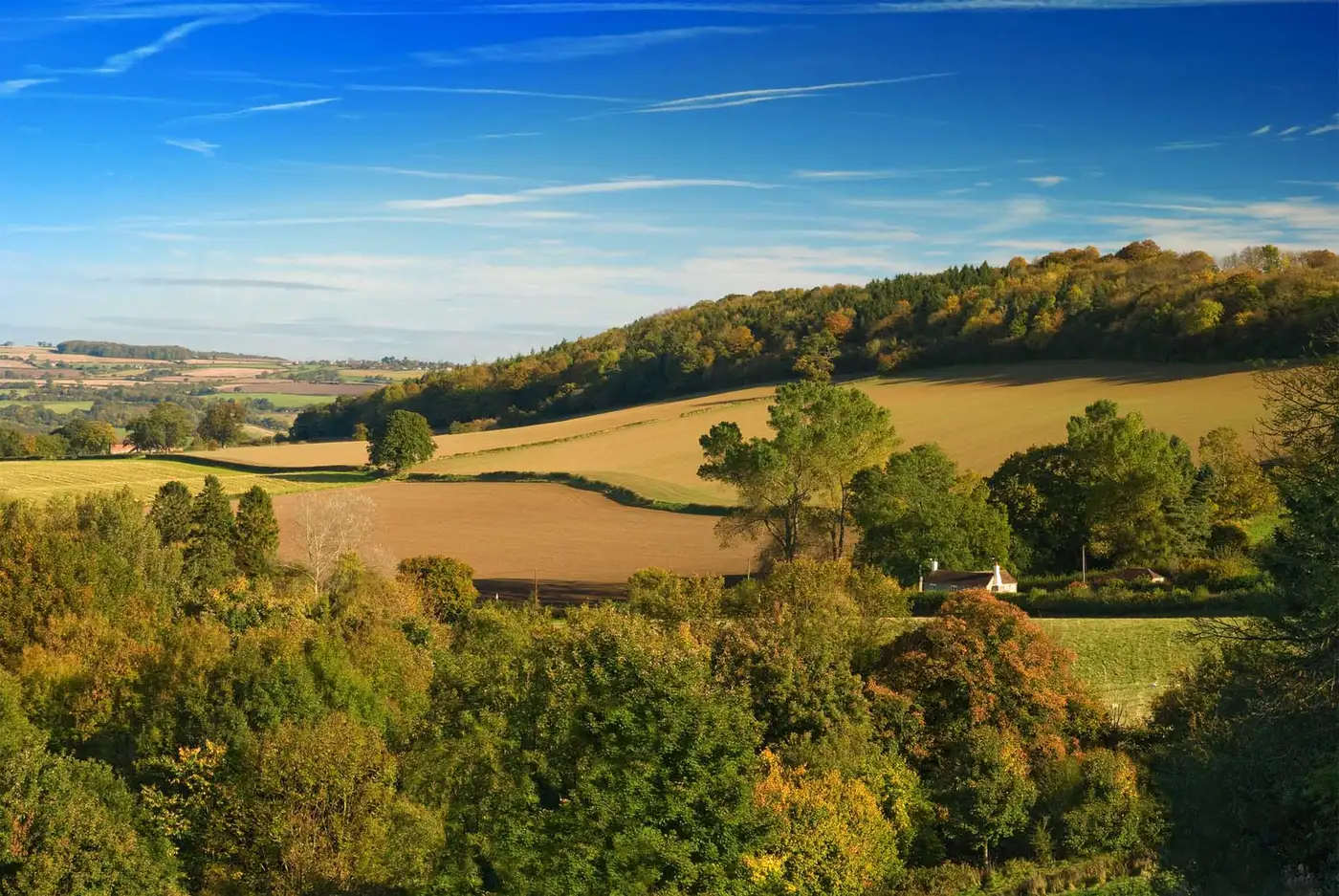 Shropshire Country Side