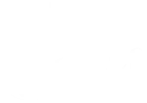 Logo no stars White